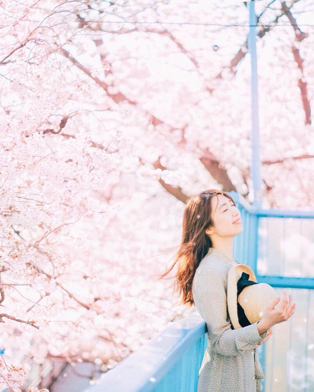 mikicoco00のインスタグラム：「* * 春の風～心地よい🌸 * * * * #桜#春#綺麗#感動#青空#電車#風#寝ちゃう #spring#cherryblossom#pink#tokyo#japan#写真好きな人と繋がりたい#お花見#カメラ好き#ポートレート#ワンピース#サクラ」