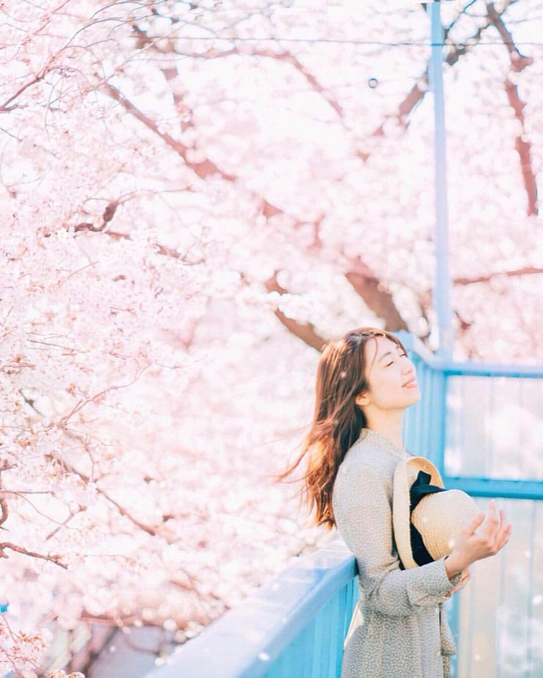 mikicoco00さんのインスタグラム写真 - (mikicoco00Instagram)「* * 春の風～心地よい🌸 * * * * #桜#春#綺麗#感動#青空#電車#風#寝ちゃう #spring#cherryblossom#pink#tokyo#japan#写真好きな人と繋がりたい#お花見#カメラ好き#ポートレート#ワンピース#サクラ」4月10日 21時06分 - mikicoco00
