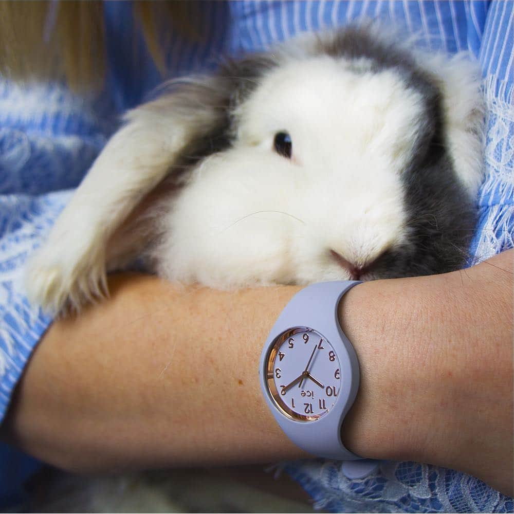 アイスウォッチさんのインスタグラム写真 - (アイスウォッチInstagram)「The great gift of Easter is hope 💙 #icewatch #changeyoucan #iceglam #rabbit #watch #blue #sky #animals #pet #puppy #love」4月10日 21時21分 - icewatch