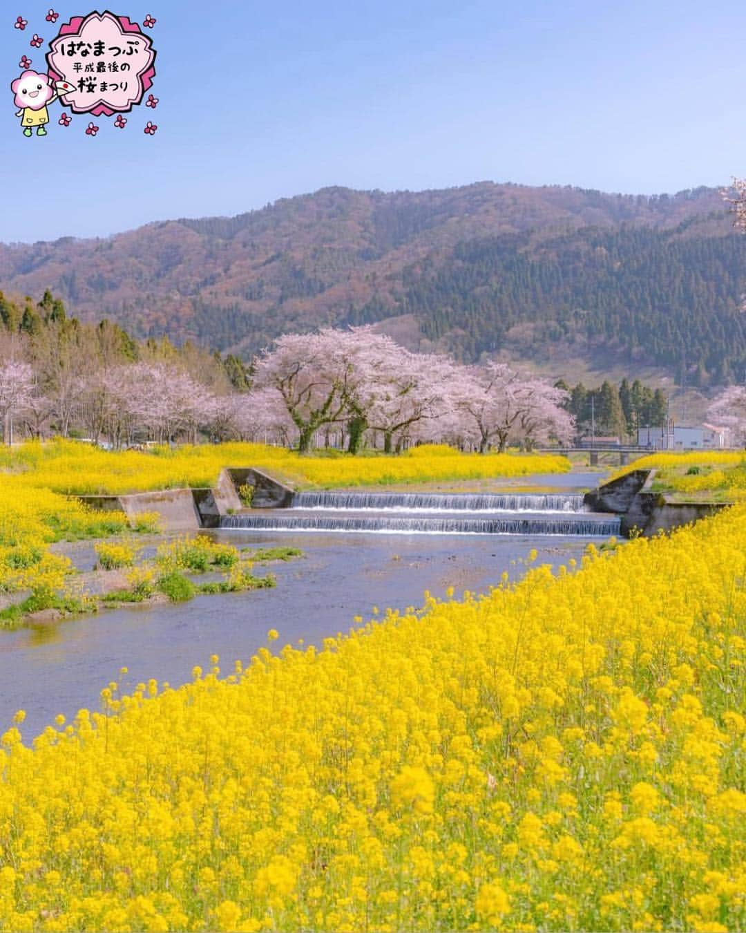 はなまっぷ❁日本の花風景さんのインスタグラム写真 - (はなまっぷ❁日本の花風景Instagram)「🍃🌸はなまっぷ平成最後の桜まつり🌸🍃 * @atsymmetry さんの 平成の桜に花まるを💮 * 平成を彩る日本の美しい桜をありがとうございます😊🌸🍃 * 滋賀  #長浜市 Nagahama, Shiga Pref. * 見頃を過ぎている場所もご紹介しています。 お出かけの際はHP等で最新の情報をご確認くださいね🙏🌸🍃 * 🌸•••🍃•••🌸•••🍃•••🌸•••🍃•••🌸 * 🌸桜まつり概要🌸 * 期間:平成最後の日まで タグ:#はなまっぷ * #はなまっぷ  のタグの中から、桜のお写真をどんどんご紹介させていただきます。期間中はランダムに、複数枚投稿でもご紹介させていただく場合がございます。 * #桜#sakura#花見#さくら#日本#春#花#平成最後の#満開#菜の花 * 🌸•••🍃•••🌸•••🍃•••🌸•••🍃•••🌸 * はなまっぷより * 💌LINEスタンプ「はなまっぷちゃん」絶賛発売中！みなさんのLINEにも花まるを💮 💌はなまっぷ本、Amazonや全国の書店さんで満開です！ぜひお手にとっていただけると嬉しいです🌸 * LINEスタンプ、はなまっぷ本は、プロフ欄記載のTwitterアカウントよりご確認ください。 * 🌸•••🍃•••🌸•••🍃•••🌸•••🍃•••🌸 *」4月10日 21時26分 - hanamap