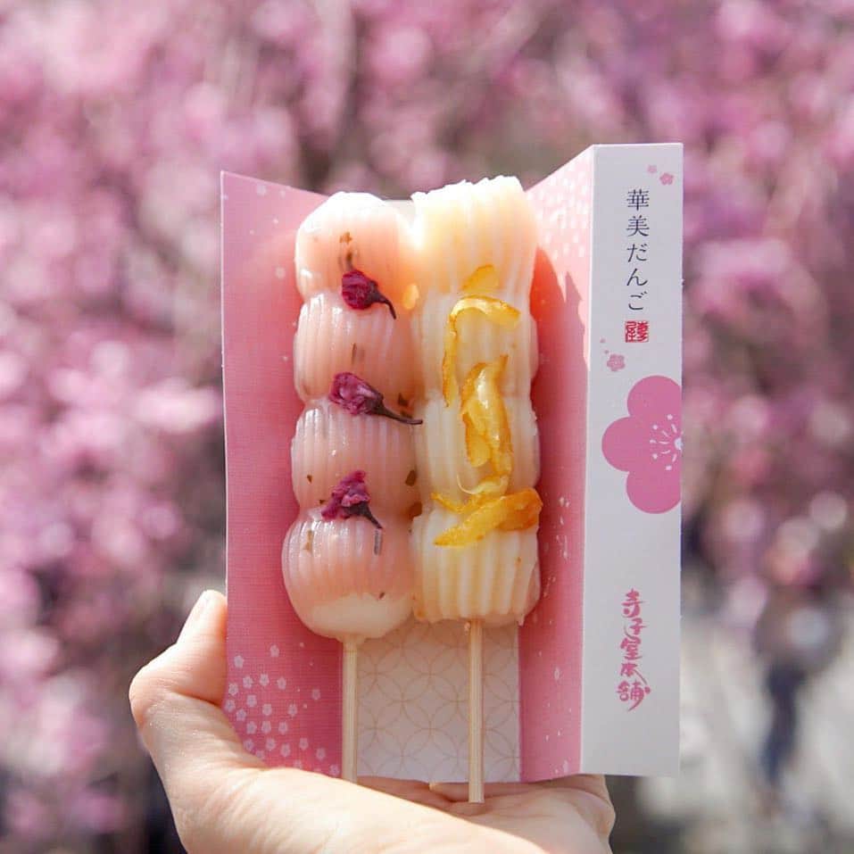 miku_colorsさんのインスタグラム写真 - (miku_colorsInstagram)「* 2019.4.11 . 先週のお花見2daysの初日は嵐山へ🌸 . 華美だんごは柚子とさくら。 全種類食べたくなる可愛さでした♡ . . 4本並んだ写真は自分ではうまく撮れなかったので  @masumi_3pics ますみちゃんの写真を ご覧ください🎵（笑） . . . . #ますみくさんぽ .」4月11日 7時44分 - miku_colors