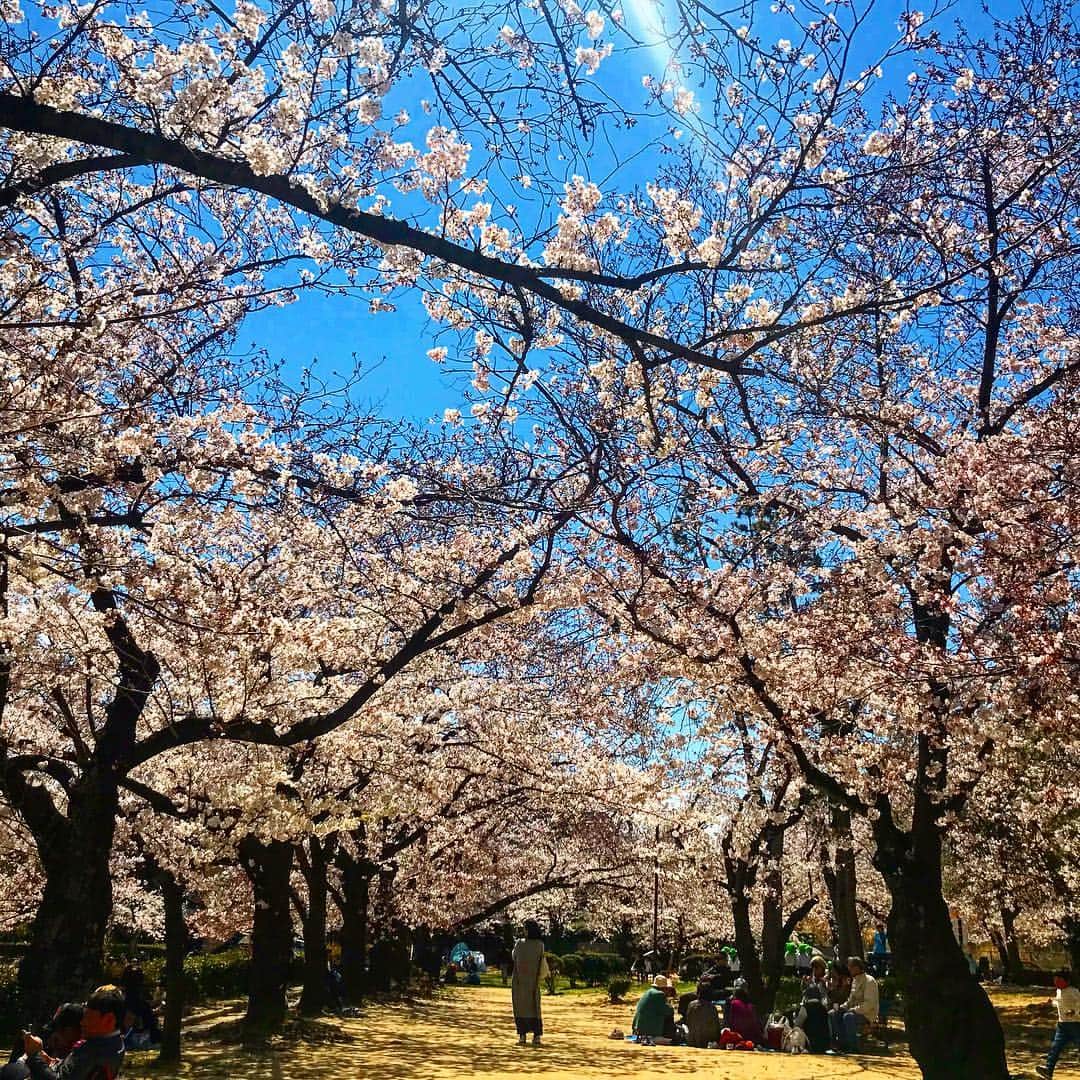 平山美香さんのインスタグラム写真 - (平山美香Instagram)「神戸に引っ越して、１週間ちょい🍎 東京のど真ん中コンクリートジャングルから、大きな公園があり海も山も見渡せる子育てには最高な環境に約１０年ぶりに戻ってきました🍎 今週から息子のスクールも始まり、やっと少しずつ落ち着いてきたかな🍎 家族や友人がお手伝いしてくれて、お家のお片付けも後少し🍎 少し落ち着いたら、何だか急に友達が恋しくなって昨日初めて東京シックになりました🍎 来週、出産前最後のイベントがある為、お仕事も大詰めでハラハラドキドキ🍎 久々に少し緊張してます🍎 という事で今日一日がスタート🍎 テキパキと環境整えていきたいと思います🍎 #神戸ライフ #東京シック #子育て #ニュープロジェクト @bodyfit_sunsmile」4月11日 7時44分 - mika_hirayama