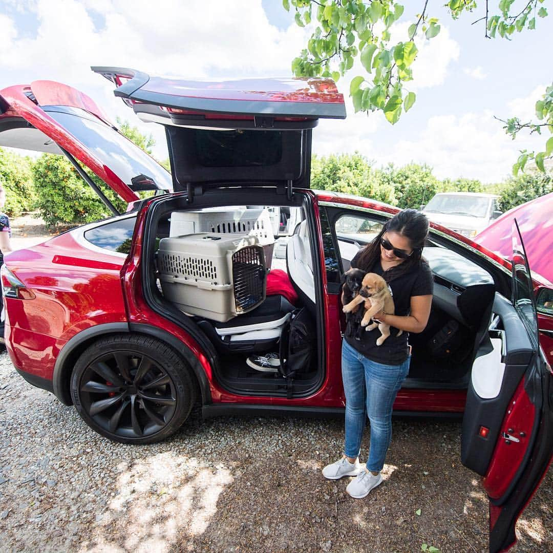 The Dogistさんのインスタグラム写真 - (The DogistInstagram)「We’re going on another #RescueRide this week in California! We’re partnering with The Central Valley Rescue Railroad and Helen Woodward Animal Center (@hwac). We’ll be transporting a mother and her six puppies from Fresno to San Diego, CA. They were found in a rubble pile on an abandoned property near Fresno, which is a common occurrence for the area, unfortunately. We’ll be taking them to San Diego, where they’ll have a better chance for adoption. @Teslamotors was awesome enough to loan us their Model X P100D to cruise in and try out their new #DogMode. Stay tuned for updates along the drive on our stories!」4月11日 7時53分 - thedogist