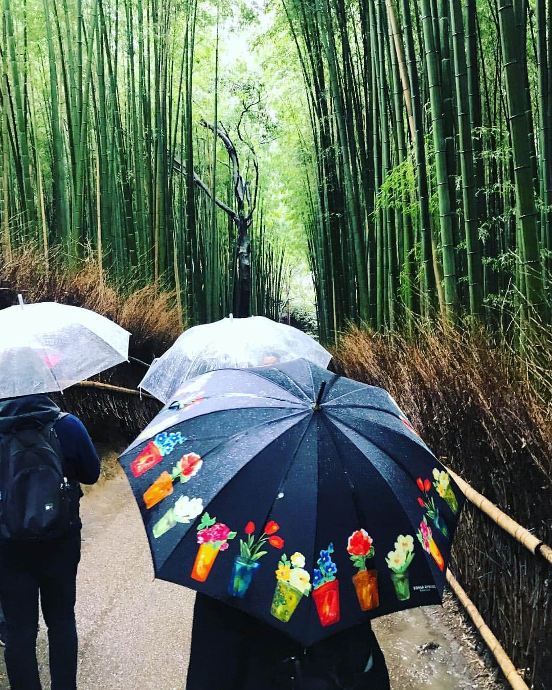 Rodner Figueroaさんのインスタグラム写真 - (Rodner FigueroaInstagram)「Bamboo grove!!! 🇯🇵 #arashiyamabambooforest #koyto #japan #japon」4月11日 7時51分 - rodnerfigueroa