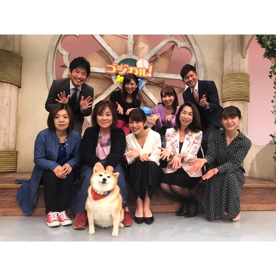 梅山茜さんのインスタグラム写真 - (梅山茜Instagram)「. ＊柴犬ちゃんたちっ🐕＊ 今日のゴジカル！はインスタ映え柴犬📷と題して #マメスケざえもん くんや #べりやん など 県内の愛くるしい柴犬たちをご紹介しました🌸 先日私も#チャロちゃん と#小梅ちゃん ペア (小梅ちゃんは梅！とも呼ばれてて私が反応😂) #豆侍くん #御忠実ちゃん カップルに 実際に会ってきましたが もう可愛くて可愛くて犬好きの私としては 終始幸せなロケでした🐕💕 そしてなんとスタジオにはその中からチャロちゃんが 遊びに来てくれましたっ🐶 特技のリンリン🛎も披露してくれてスタジオ中大興奮❤️ 癒されました、、、！！！！！ また遊びに来てねっ🐩☀️ ちなみに#ワイヤーフォックステリア を飼ってました🐶 . #ゴジカル#アナウンサー#女子アナ#四国放送#柴犬#柴犬マニア#柴犬部#柴すたぐらむ#犬#いぬすたぐらむ #犬すたぐらむ#徳島#徳島柴犬#豆柴#徳島柴ちゃん会#花見#桜#梅#shibainu#shibastagram#dog#dogstagram」4月10日 23時31分 - umeyama_akane