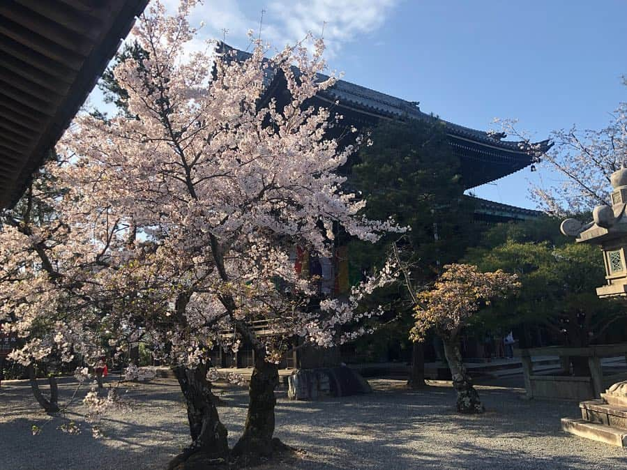 朝日光輝さんのインスタグラム写真 - (朝日光輝Instagram)「京都🌸🚶‍♂️🚶‍♂️🚶‍♂️ * * * * * * * * * * * #京都#kyoto#桜#サクラ#さくら#Sakura#🌸#春#京都の桜 #日本#japan#最高#歩き疲れた #一休み」4月10日 23時32分 - mitsuteru_asahi