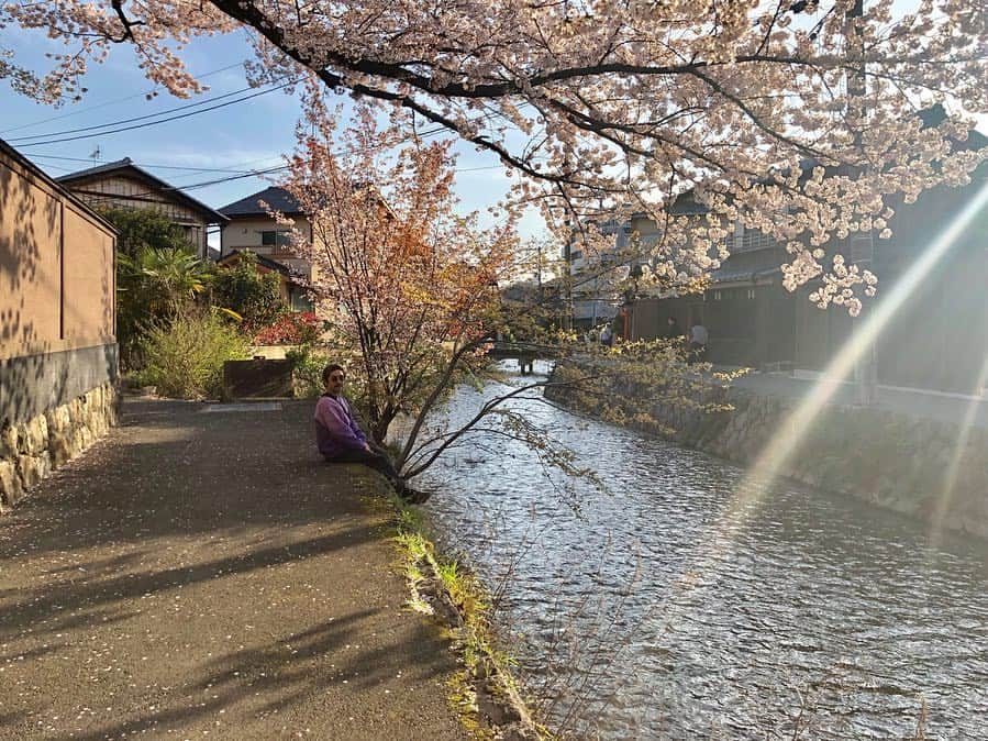 朝日光輝さんのインスタグラム写真 - (朝日光輝Instagram)「京都🌸🚶‍♂️🚶‍♂️🚶‍♂️ * * * * * * * * * * * #京都#kyoto#桜#サクラ#さくら#Sakura#🌸#春#京都の桜 #日本#japan#最高#歩き疲れた #一休み」4月10日 23時32分 - mitsuteru_asahi