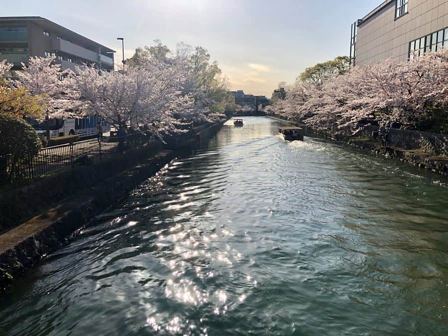 朝日光輝さんのインスタグラム写真 - (朝日光輝Instagram)「京都🌸🚶‍♂️🚶‍♂️🚶‍♂️ * * * * * * * * * * * #京都#kyoto#桜#サクラ#さくら#Sakura#🌸#春#京都の桜 #日本#japan#最高#歩き疲れた #一休み」4月10日 23時32分 - mitsuteru_asahi