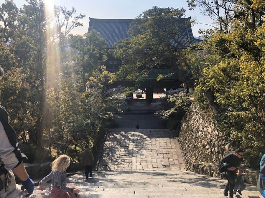 朝日光輝さんのインスタグラム写真 - (朝日光輝Instagram)「京都🌸🚶‍♂️🚶‍♂️🚶‍♂️ * * * * * * * * * * * #京都#kyoto#桜#サクラ#さくら#Sakura#🌸#春#京都の桜 #日本#japan#最高#歩き疲れた #一休み」4月10日 23時32分 - mitsuteru_asahi