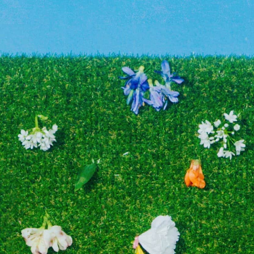 THE BOYZさんのインスタグラム写真 - (THE BOYZInstagram)「THE BOYZ 2nd Single Album [Bloom Bloom] Coming soon  2019. 04. 29. 6PM Release  #THEBOYZ #더보이즈 #BloomBloom」4月11日 0時07分 - official_theboyz