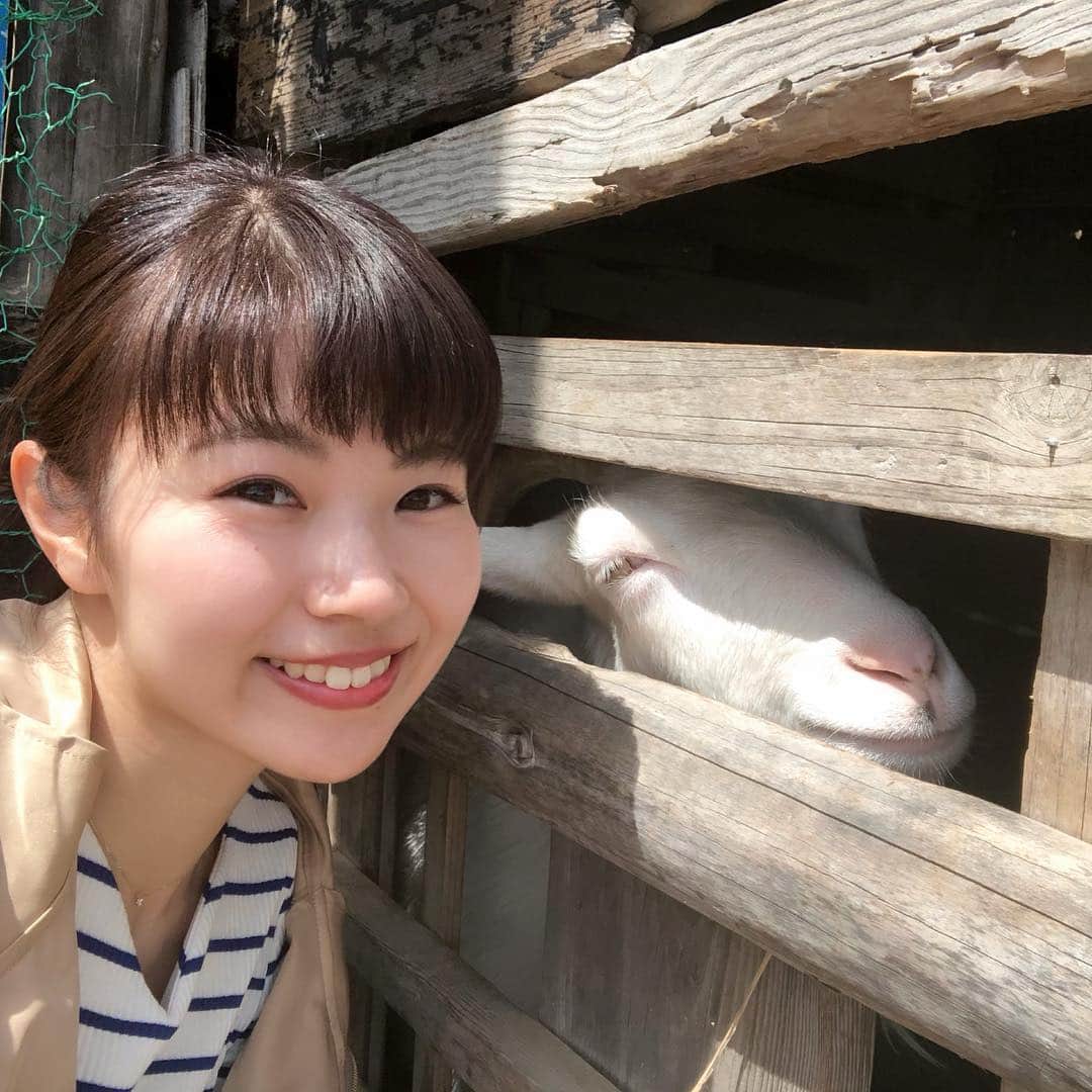 唐川美音さんのインスタグラム写真 - (唐川美音Instagram)「* 先日、大好きな島「志々島」へ ロケに行ってきました！ 実は去年おばあちゃんの台所で 郷土料理「おひら」を教えてくださった 孝子おばあちゃんが暮らす島。 今回は、おばあちゃんが数年前に作った 天空の花畑を案内していただきました✨ 息をのむほど美しい光景。 おばあちゃんの想いが詰まった花畑でした🌸 あなたにまた会えたのが 1番嬉しいと言ってくれた孝子おばあちゃん。 この仕事をしていて良かったと、 心から思った1日でした♡  この天空の花畑は 今週土曜13日放送の 「どようDEど〜よ」で紹介予定です♪  #志々島#おばあちゃん#再会#天空の花畑#ハイジのようなブランコ#美しい瀬戸内海#大楠#島にヤギ#大好きな場所」4月11日 0時12分 - mio_karakawa