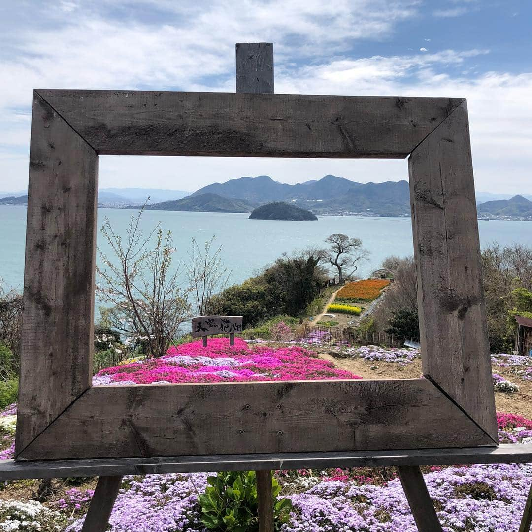 唐川美音さんのインスタグラム写真 - (唐川美音Instagram)「* 先日、大好きな島「志々島」へ ロケに行ってきました！ 実は去年おばあちゃんの台所で 郷土料理「おひら」を教えてくださった 孝子おばあちゃんが暮らす島。 今回は、おばあちゃんが数年前に作った 天空の花畑を案内していただきました✨ 息をのむほど美しい光景。 おばあちゃんの想いが詰まった花畑でした🌸 あなたにまた会えたのが 1番嬉しいと言ってくれた孝子おばあちゃん。 この仕事をしていて良かったと、 心から思った1日でした♡  この天空の花畑は 今週土曜13日放送の 「どようDEど〜よ」で紹介予定です♪  #志々島#おばあちゃん#再会#天空の花畑#ハイジのようなブランコ#美しい瀬戸内海#大楠#島にヤギ#大好きな場所」4月11日 0時12分 - mio_karakawa