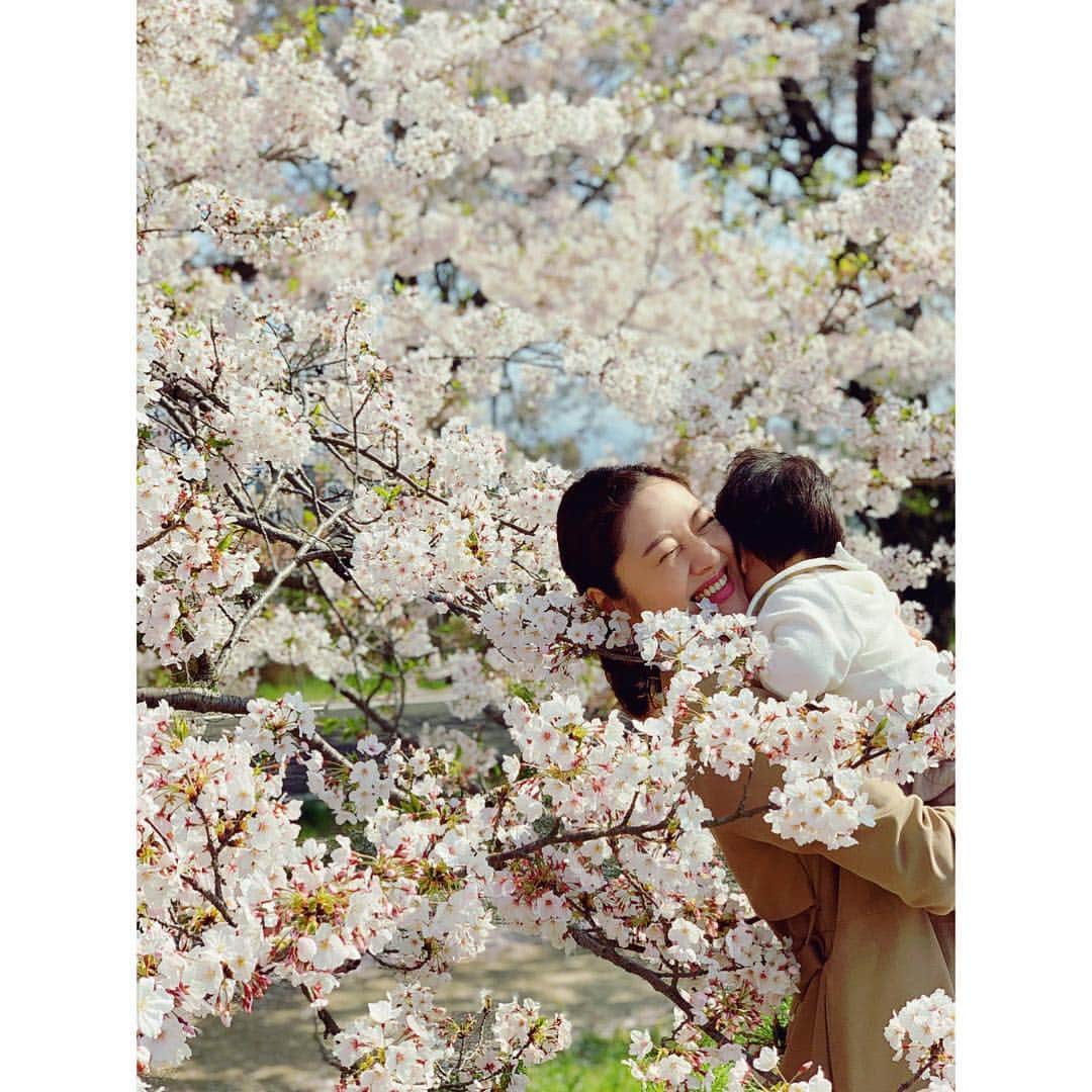 田澤友子のインスタグラム：「ギリギリ間に合ったお花見。 ・ 今年は思いのほか長く楽しめたけど、 昨日・今日の雨でずいぶんと散ってしまったかな…？ ・ 愛すべき甥っ子にとって初めての桜。 ・ 赤ちゃんながらも、桜を見上げて 嬉しそうに手を振っていました。 ・ やっぱり美しいものには、人を惹きつける パワーがあるんですね。 ・ 来年もまたこの穏やかな風景が観られますように♡ ・ ・ #桜 #さくら #sakura  #平成最後の桜  #散りゆく桜  #ピンクの絨毯  #甥っ子 #もうすぐ1歳  #おばばか  #松山 #松山市 #愛媛 #matsuyama #ehime」
