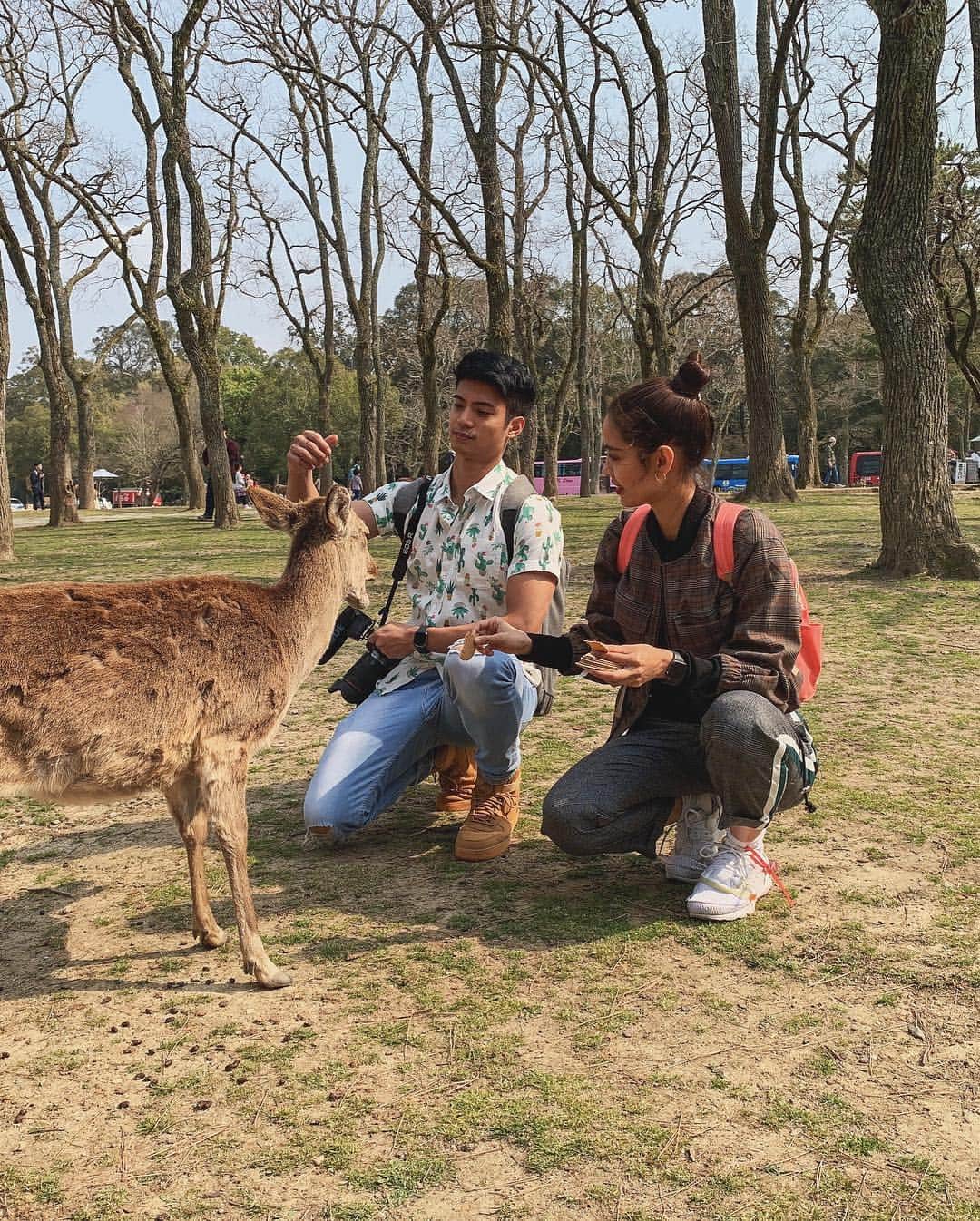 ミーガン・ヤングさんのインスタグラム写真 - (ミーガン・ヤングInstagram)「The deer all ran towards us as we held the freshly bought crackers. There was only one type of cracker that you could buy from vendors and it was just for the deer. They would ask for food by doing a sort of bow which was very cute - but some would get agressive if you were a second too late in feeding them haha! We fed some deer as we walked around Nara Park, saw amazing architecture and ended the afternoon by sitting under the cherry blossoms 🌸 we were able to do so much during our time in Japan and my favorite #KlookSpringFling memory for this trip has to be, just enjoying having snacks under the cherry blossoms. 😍 @klooktravel_ph made the trip hassle-free as it was so easy to book the activities, car rentals and even wifi rentals 💖 if you're traveling to Japan soon, check out #KlookBlossomSeasonSale and the last photo for more details 🌸」4月11日 0時17分 - meganbata