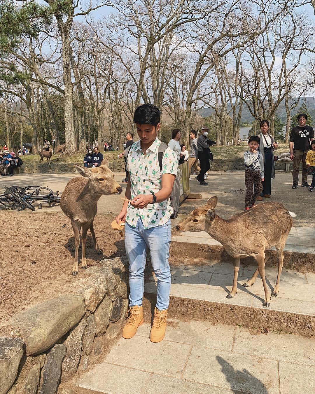 ミーガン・ヤングさんのインスタグラム写真 - (ミーガン・ヤングInstagram)「The deer all ran towards us as we held the freshly bought crackers. There was only one type of cracker that you could buy from vendors and it was just for the deer. They would ask for food by doing a sort of bow which was very cute - but some would get agressive if you were a second too late in feeding them haha! We fed some deer as we walked around Nara Park, saw amazing architecture and ended the afternoon by sitting under the cherry blossoms 🌸 we were able to do so much during our time in Japan and my favorite #KlookSpringFling memory for this trip has to be, just enjoying having snacks under the cherry blossoms. 😍 @klooktravel_ph made the trip hassle-free as it was so easy to book the activities, car rentals and even wifi rentals 💖 if you're traveling to Japan soon, check out #KlookBlossomSeasonSale and the last photo for more details 🌸」4月11日 0時17分 - meganbata