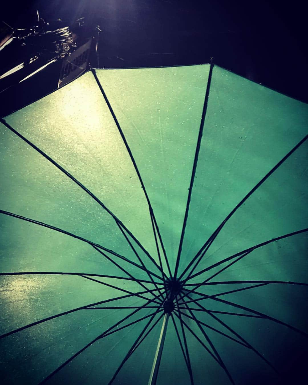 山田しょうこさんのインスタグラム写真 - (山田しょうこInstagram)「・ 今日一日この子に助けられた お気に入りの傘は雨の日を鮮やかにしてくれる #雨 #傘 #あわてて駅前のマツキヨで適当に買った傘 #好きでいるのに出会いなんて関係ない」4月11日 0時53分 - shokokrake0611
