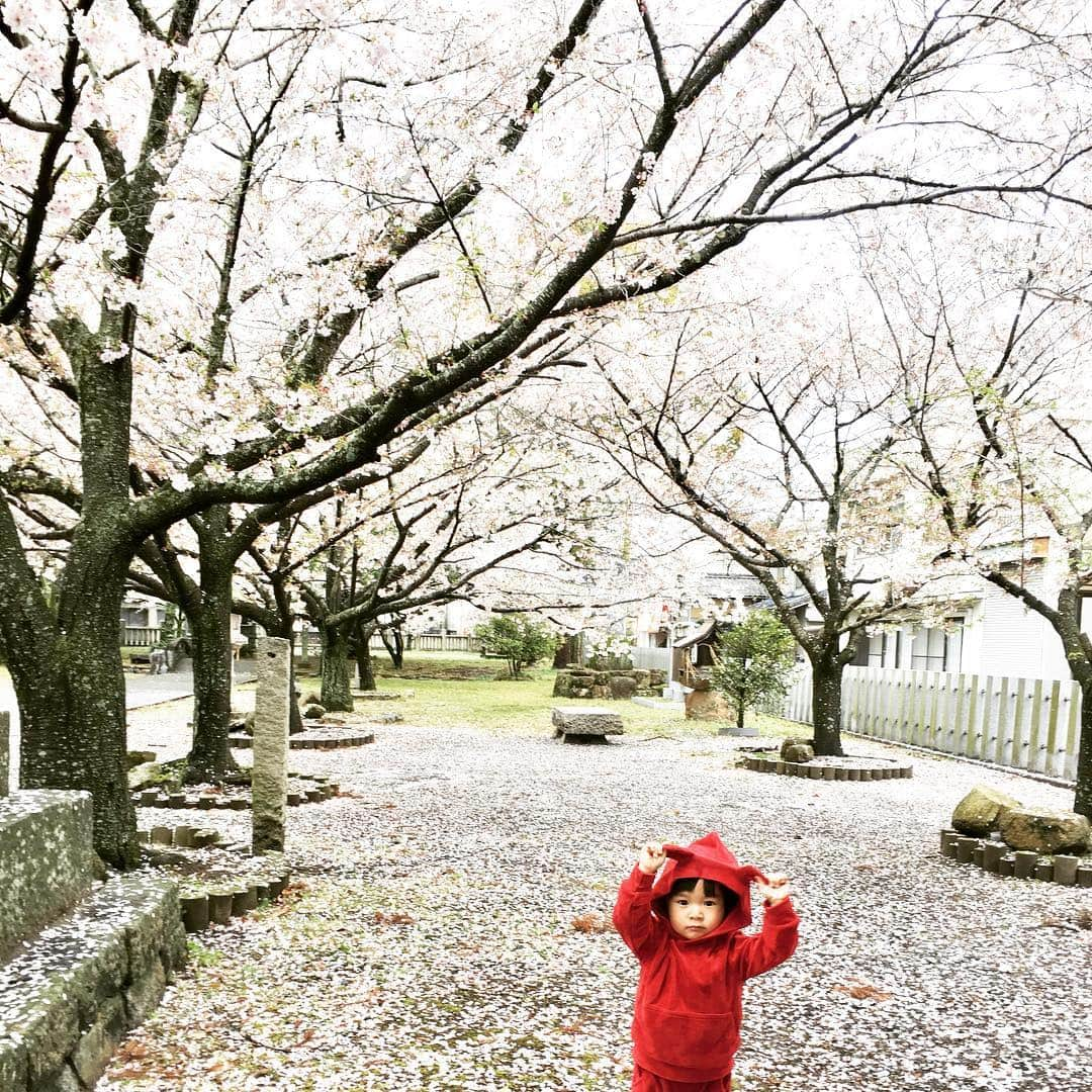 藤井惠さんのインスタグラム写真 - (藤井惠Instagram)「桜  #桜 #郷社 #井原」4月11日 1時03分 - megumi_fujii