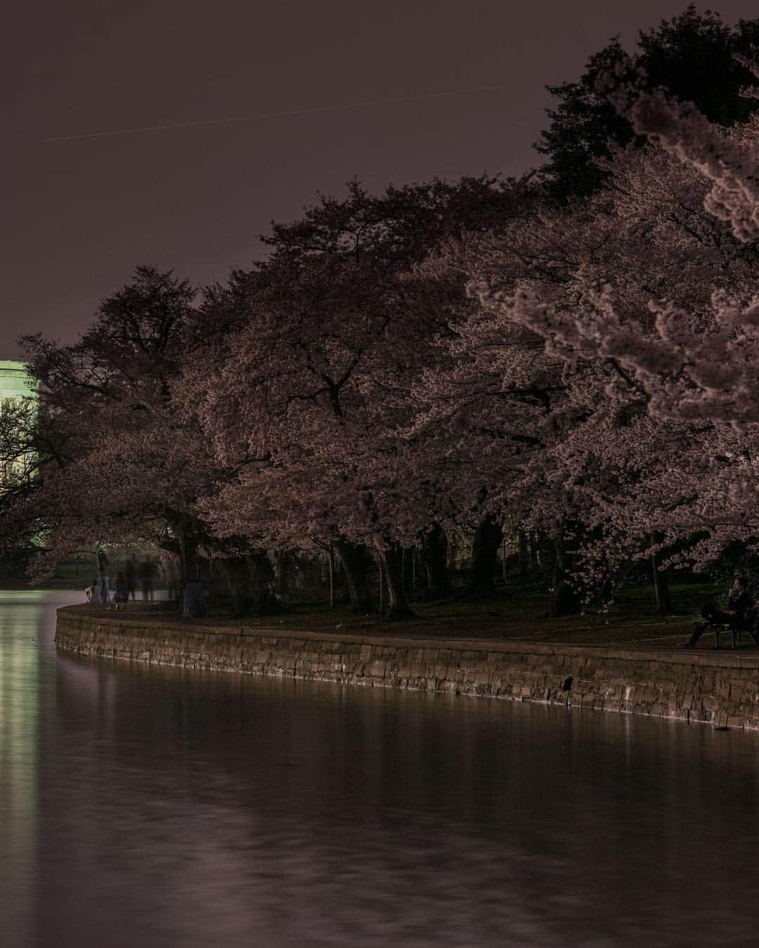 National Geographic Travelさんのインスタグラム写真 - (National Geographic TravelInstagram)「Photo by @BabakTafreshi, The World at Night photography | Swipe left to see the entire view of the April 6 evening in Washington DC with the fireworks for Cherry Blossoms Festival, photographed above Jefferson Memorial and Tidal Basin. More than 1.5 million visitors descend upon the United States capital each year to admire the 3,000-plus blossomed trees. #washingtondc #cherryblossom #nightphotography @natgeoimagecollection」4月11日 1時01分 - natgeotravel