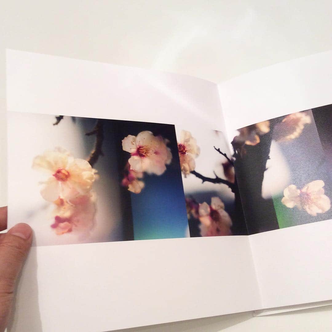 丸山敬太さんのインスタグラム写真 - (丸山敬太Instagram)「keithが送ってくれた美しい写真集。いつもお洒落で、優しくて、賢い、彼の繊細なロマンティックな雰囲気に溢れている。 リリカルな切なさが、独特の光に彩られて見入ってしまった。 装幀も素敵。 @kiiisu」4月11日 1時10分 - keitamaruyama
