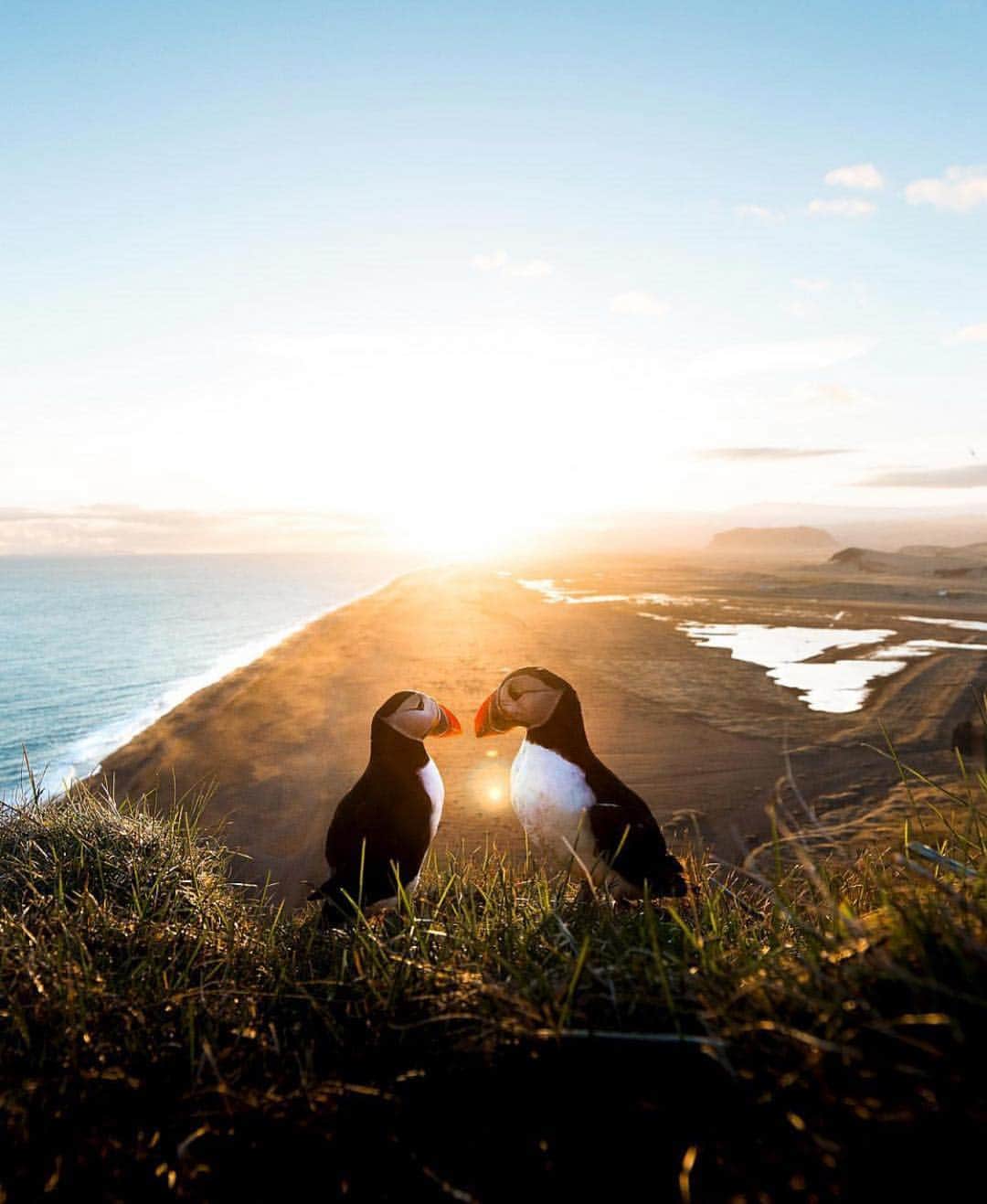 Canon Photographyさんのインスタグラム写真 - (Canon PhotographyInstagram)「Golden hour is best spent with friends! Photo | @alex_stead  Iceland」4月11日 1時09分 - cpcollectives