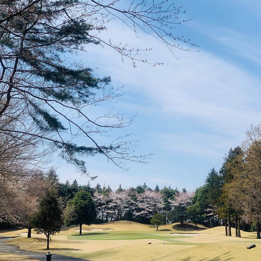 吉田玲奈さんのインスタグラム写真 - (吉田玲奈Instagram)「先日は久しぶりのモッチーとGOLF❣ふたりともドライバーショットが最高に気持ち良く打てて楽しかった〜⛳️😋 #ゴルフ大好き #楽しかった #爆笑ゴルフ #ゴルフ日和 #ゴルフ女子 #ゴルフ大人女子 #beamsgolf #ビームスゴルフ  #markandlona #archivio #monzee #ゴルフ女子コーデ #ゴルフウエア #ゴルフウェア #callawaygolf  #epicflash #麻婆豆腐 #reinagolf」4月11日 2時35分 - reina.yoshida.ciel.1218