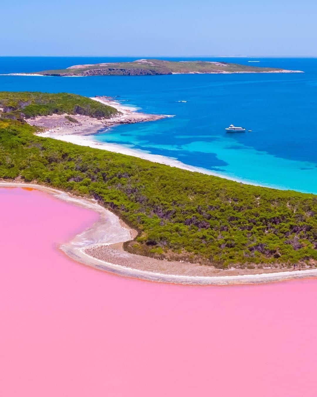 Australiaさんのインスタグラム写真 - (AustraliaInstagram)「Three stunning @westernaustralia colours all in one shot. 💗💚💙 @jaimenhudson captured this cracking shot on @esperancecruises #LakeHillier tour, which takes visitors to see this pretty-in-pink phenomenon on #MiddleIsland, located off the coast of #Esperance in @australiasgoldenoutback. The scenic cruise departs from  #DukeofOrleansBay and takes around two hours to reach the island, where you’ll transfer into a smaller boat to get up close to the beach near the #pinklake. Spend a couple of hours on the island taking photos and learning about how the lake got its bright bubblegum colour before journeying back.  #seeaustralia #justanotherdayinwa #naturephotography #travel」4月11日 4時00分 - australia