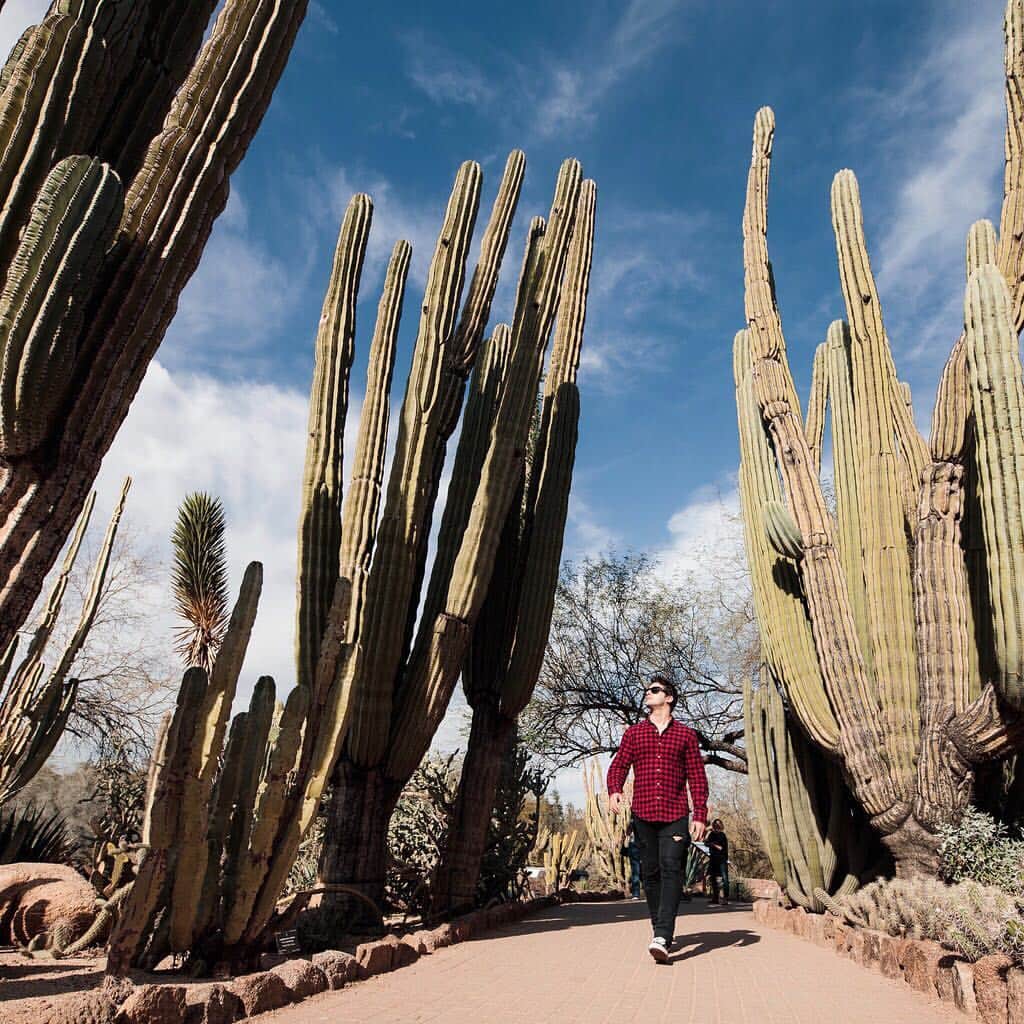 Visit The USAさんのインスタグラム写真 - (Visit The USAInstagram)「We loved poking around @dbgphx! When in Phoenix, don't miss this beautiful botanical garden that's home to hundreds of species of cacti. How cool is that? 🌵  Follow #UnitedStories as we spend the year collecting unique stories from across the country with our mobile content creation labs.」4月11日 4時48分 - visittheusa