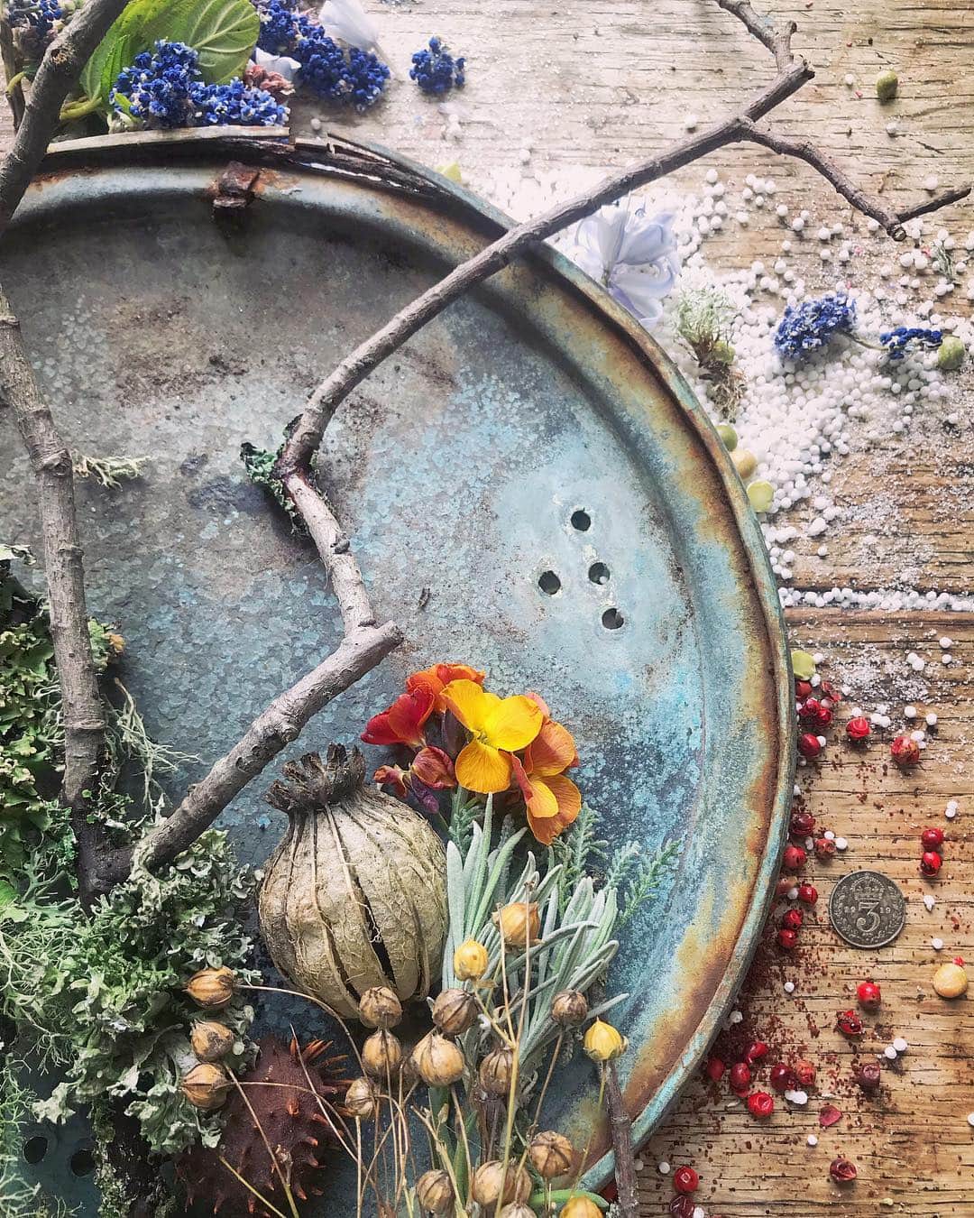Tea and sittingさんのインスタグラム写真 - (Tea and sittingInstagram)「✨...This is a lid from a broken, almost forgotten, brass bed pan which has been out in the garden for a few years...it is my new favourite thing! 💙🌿 ( btw I did a bit of open house preview and chat to show you my own place @64sandgate as well as Jo Sweeting’s place @thestonecarver on my Live Stories today 😉 ) #wabisabitreasures #wabisabi」4月11日 4時59分 - 5ftinf