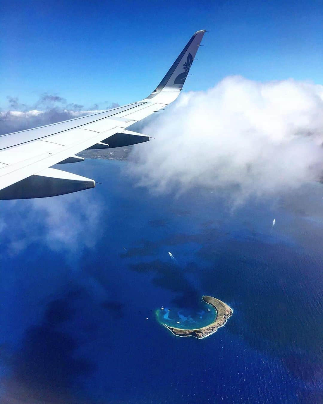 ハワイアン航空さんのインスタグラム写真 - (ハワイアン航空Instagram)「One of our favorite sights to see when we look out the window 😍✈ #WingtipWednesday #AvGeek . 📷: @kaaawa_fam」4月11日 4時57分 - hawaiianairlines