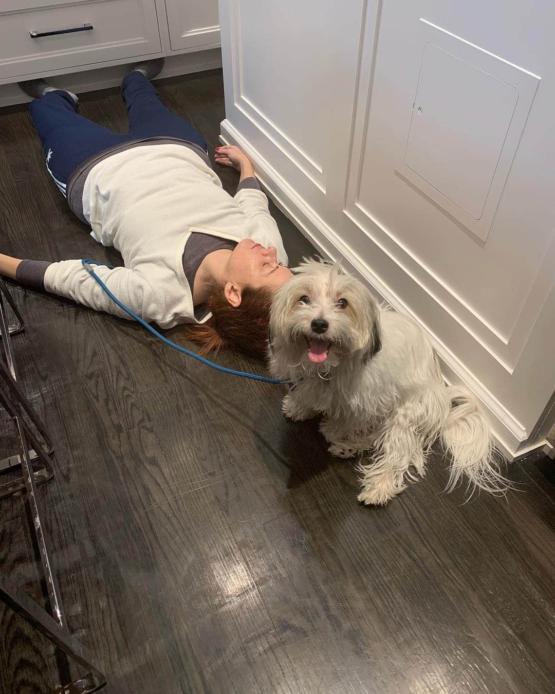 デブラ・メッシングさんのインスタグラム写真 - (デブラ・メッシングInstagram)「This is the “AFTER.” #henrylovessweat #dogrevivespowerwalker」4月11日 6時09分 - therealdebramessing