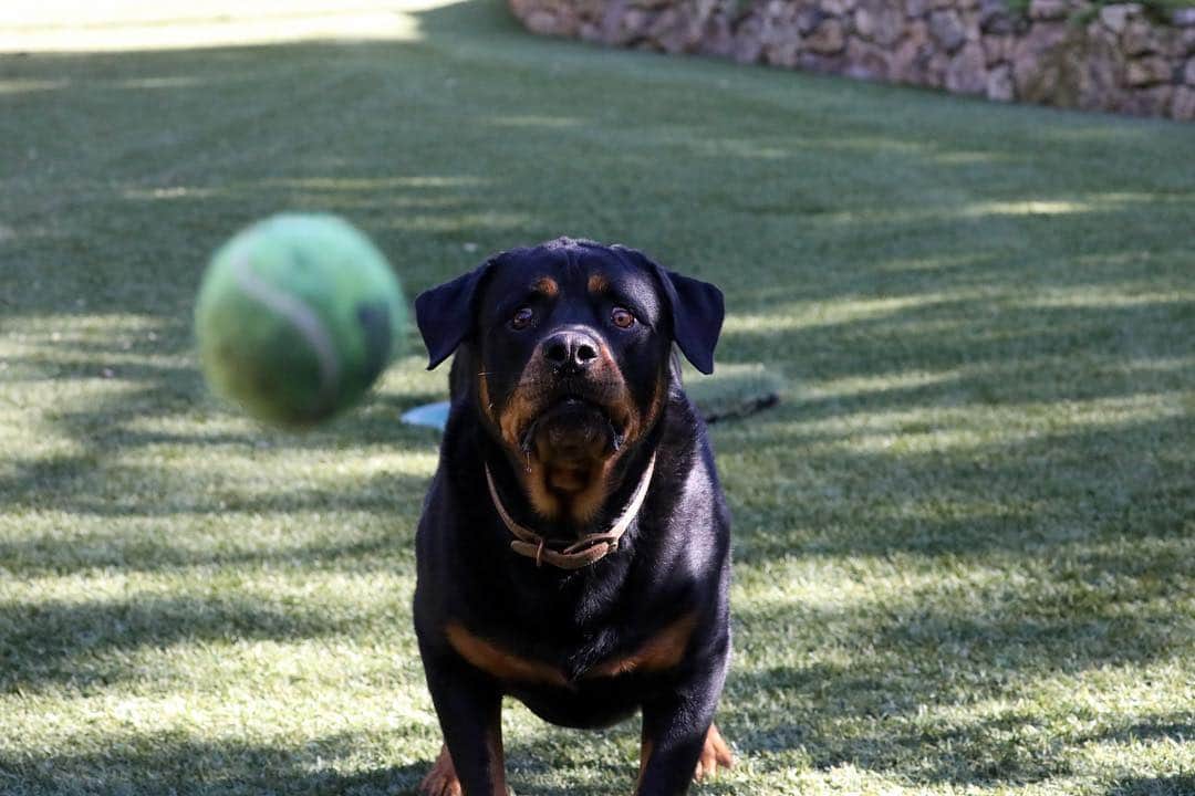 ブロディ・ジェンナーのインスタグラム：「👀🎾」