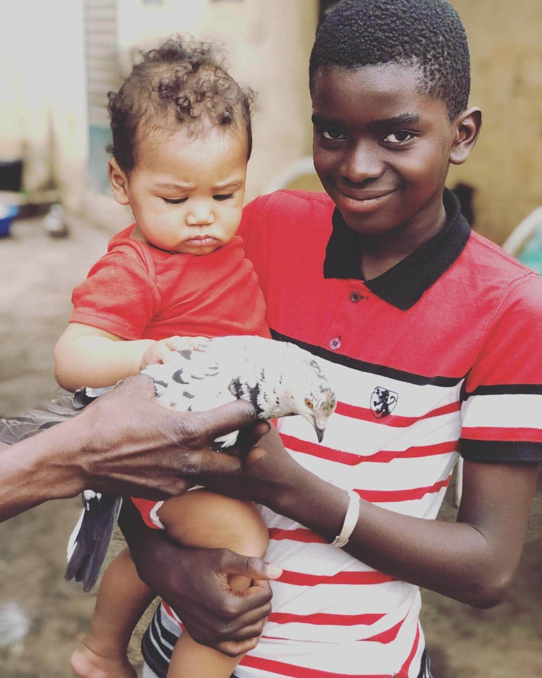 中鉢明子さんのインスタグラム写真 - (中鉢明子Instagram)「🇲🇱#with his uncle #Bamako #Mali #africa #ペット #鳩」4月11日 6時26分 - akiko_harlem