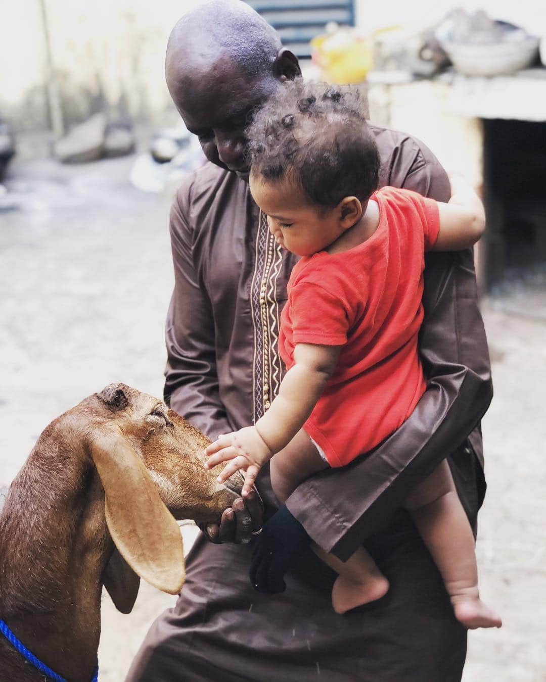 中鉢明子さんのインスタグラム写真 - (中鉢明子Instagram)「🇲🇱with his grand uncle #Bamako #mali #Africa #ペット #子ヒツジ #ブログ更新」4月11日 6時22分 - akiko_harlem