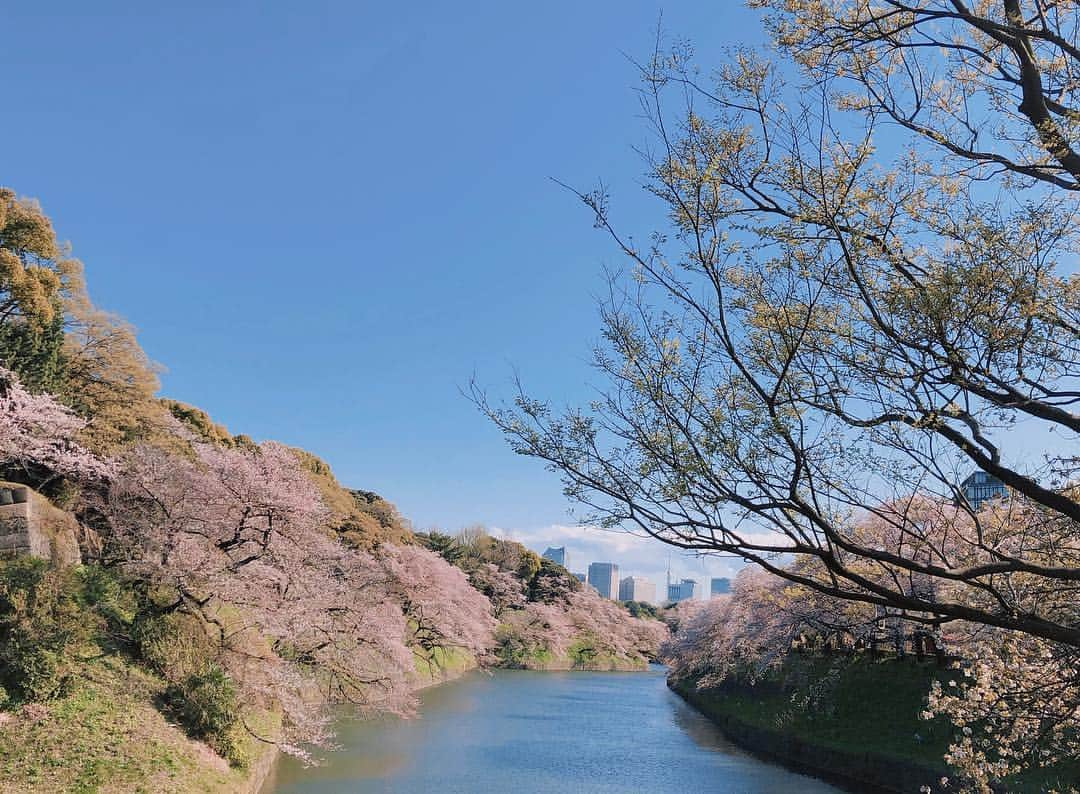 石川瑠利子のインスタグラム