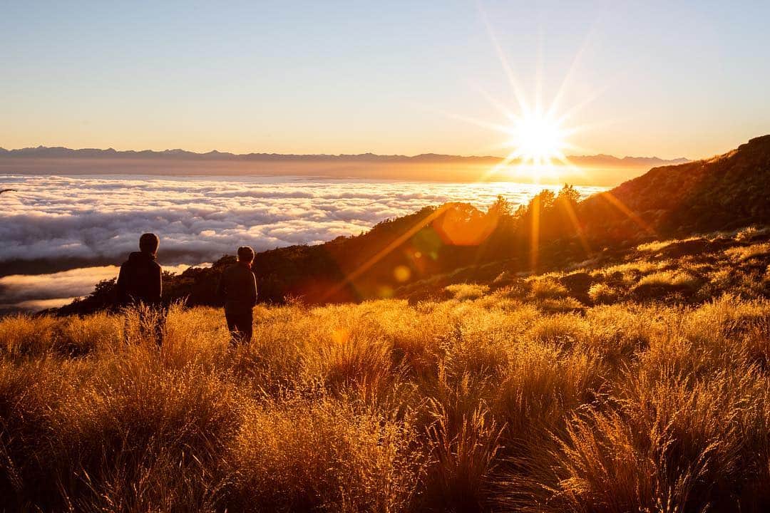 マイケル・ドーソンさんのインスタグラム写真 - (マイケル・ドーソンInstagram)「Nothing like waking up in a paradise above the clouds - New Zealand looking pretty dam fly. . . #keplertracknz #mtluxmoresummit #mtluxmore #luxmorehut #luxmore #hike #adventure #nzadventure #nzmustdo #explorenz #travelnz #fiordland #teanau #findyourpeaknz」4月11日 16時30分 - mrmikedawson