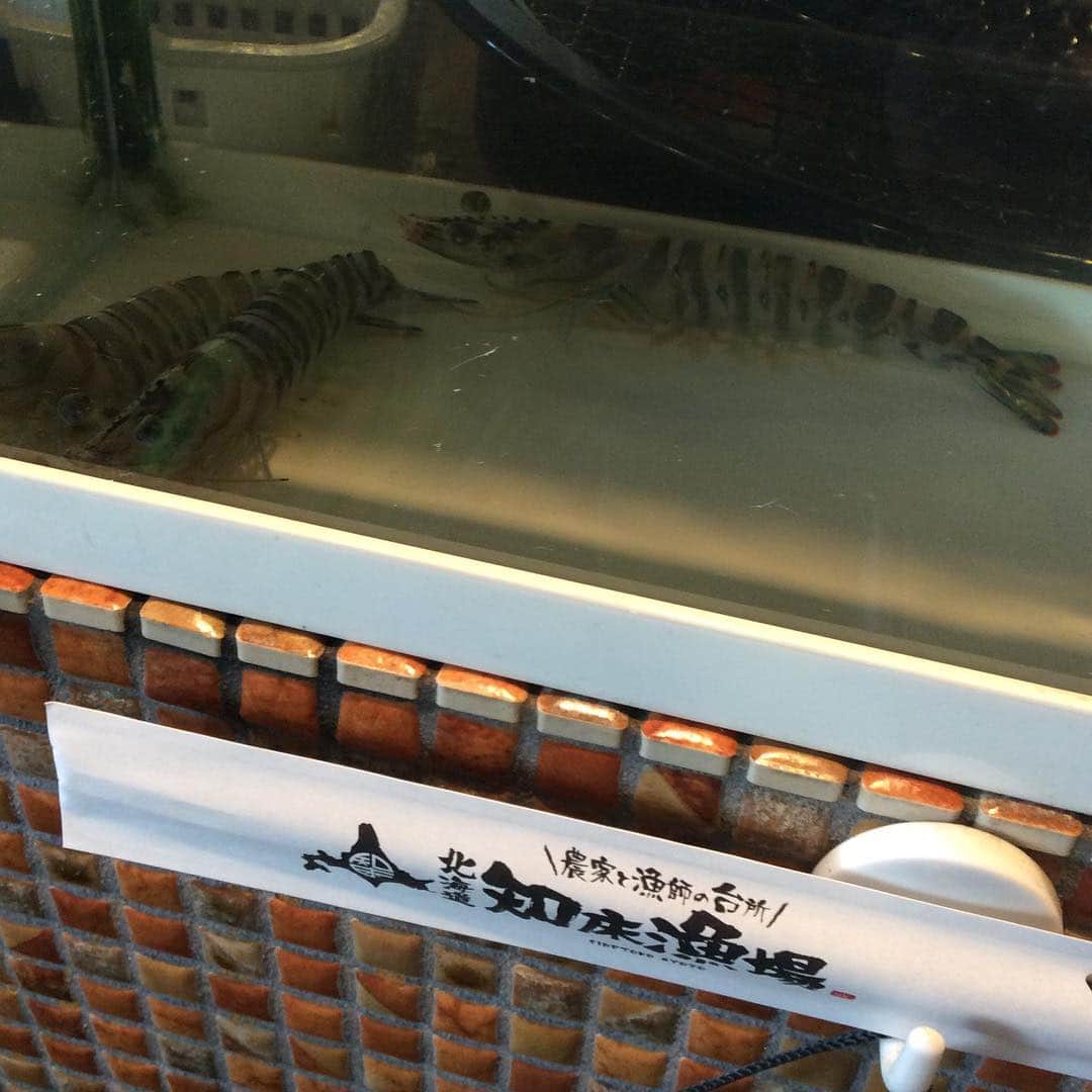 知床漁場 難波道頓堀店のグルメインスタ