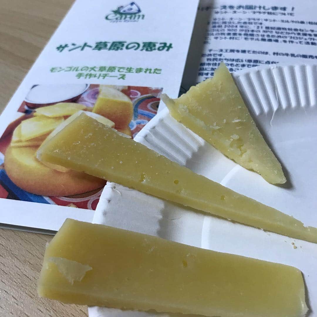 小谷あゆみのインスタグラム：「#サント草原の恵み モンゴル🇲🇳で遊牧民のしぼる牛乳からチーズ作る日本人がいます NGOで現地支援した延長でやはり加工だろうとチーズ工房をみずから始めた #重田アリカ さん すごいなぁ。おもしろいなあと思った。 大地の草30種類ぐらいいろいろ食べた牛の乳を分けてもらって作る お金になることより子牛の飲む分を優先するから分けてくれないこともあるという話が印象的だった 仕入れも供給も安定とはほど遠い しかし魅力があった ゴーダ熟成食べ比べおいしかった モンゴルの大地の味と香り #CPA の勉強会でした #チーズプロフェッショナル #チーズプロフェッショナル協会」
