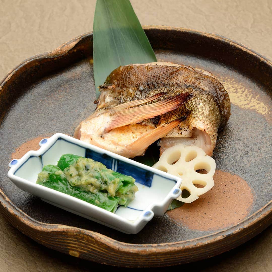 青山やまとのグルメインスタ