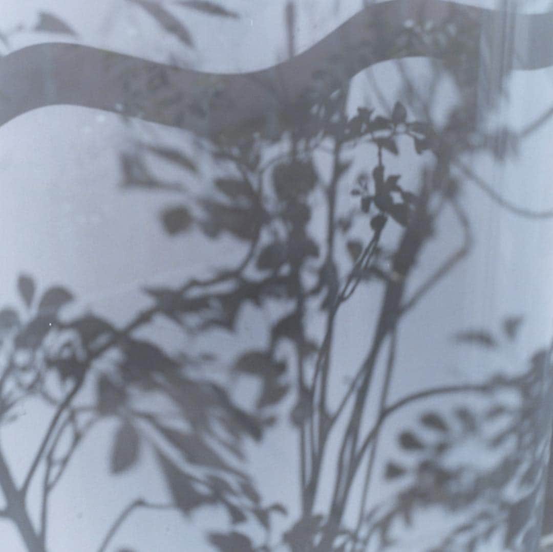 横浪修さんのインスタグラム写真 - (横浪修Instagram)「#osamuyokonami #横浪修」4月11日 16時35分 - osamuyokonami