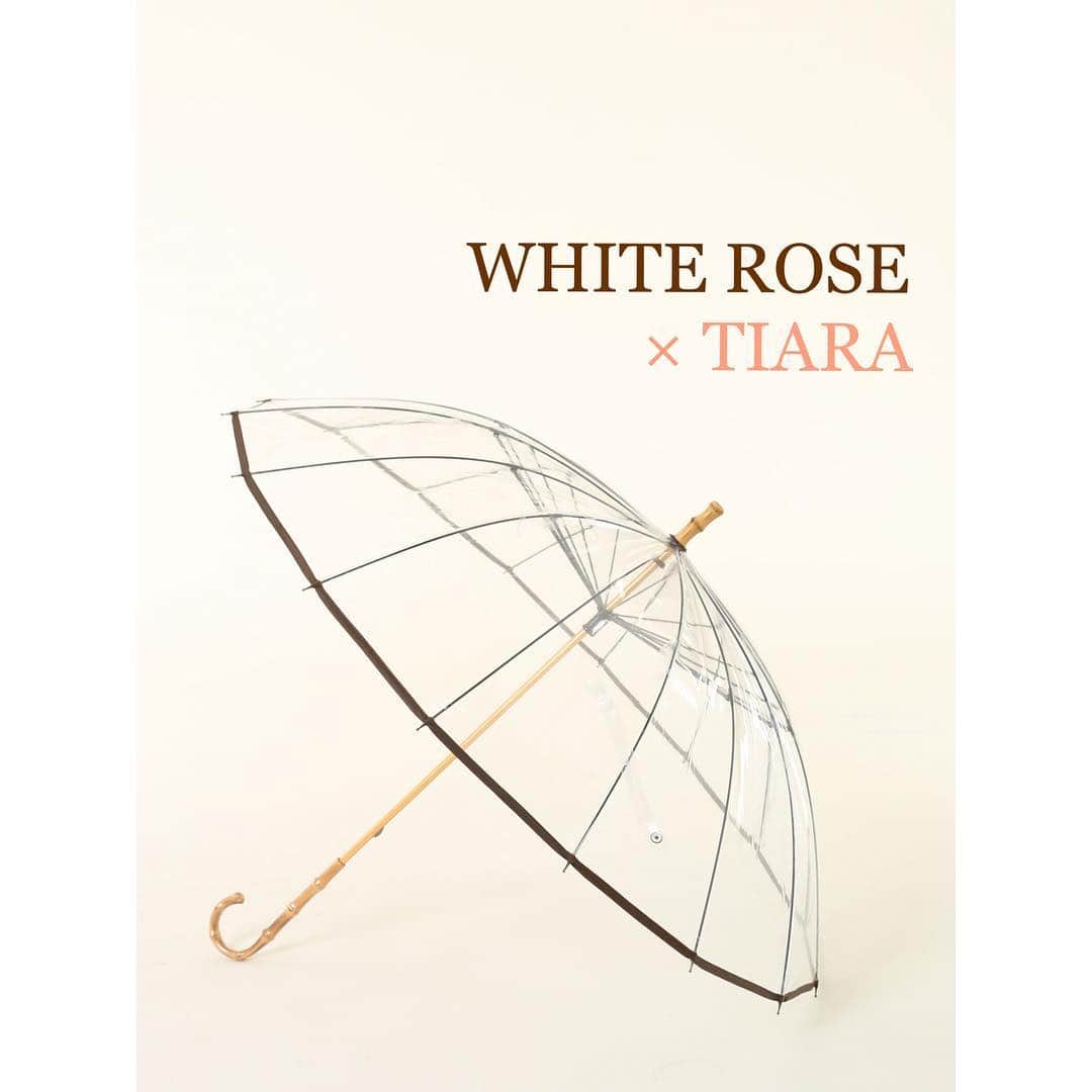 TIARAさんのインスタグラム写真 - (TIARAInstagram)「WHITE ROSE × TIARA 江戸時代から続く傘専門店の老舗 「ホワイトローズ」社にTIARAが別注した 特別な傘の先行予約が 本日よりWEBにてスタートしております！ 耐久性と品格を持ち合わせたリュクスなデザイン。 一般的なビニール傘とは一線を画す特別感のある傘です。 ・ 持ち手部分がバンブー仕様になったアンブレラと ふち部分や収納袋をベージュで別注した 折り畳みアンブレラの2種。 シンプルながらも上品なデザインで、 雨の日が待ち遠しくなるようなスペシャルな傘です。 ご予約は、 メルローズオンラインストア ZOZOTOWN i Lumineにて承っております。 ・ 尚、TIARA銀座店でも数量限定でお取り扱いいたします。 本日11日(木)〜14日(日)までは、 TIARA銀座店にて実物をご覧いただけますので この機会に是非お立ち寄りくださいませ。 ・ #tiara #tiaramelrose #whiterose #ティアラ #ティアラメルローズ #ホワイトローズ #ホワイトローズ社 #ビニール傘 #ホワイトローズ傘 #雨の日ファッション #雨の日コーデ #梅雨対策 #おしゃれ傘」4月11日 16時37分 - tiara_melrose