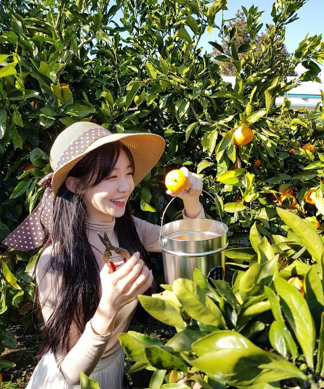 ウンソルさんのインスタグラム写真 - (ウンソルInstagram)「감귤아가씨 은토리🍊 드뎌 유튜브 채널 만들어땅💕 프로필 링크💜 https://bit.ly/2X5FP5P  #youtube」4月11日 16時53分 - taylanofficialx