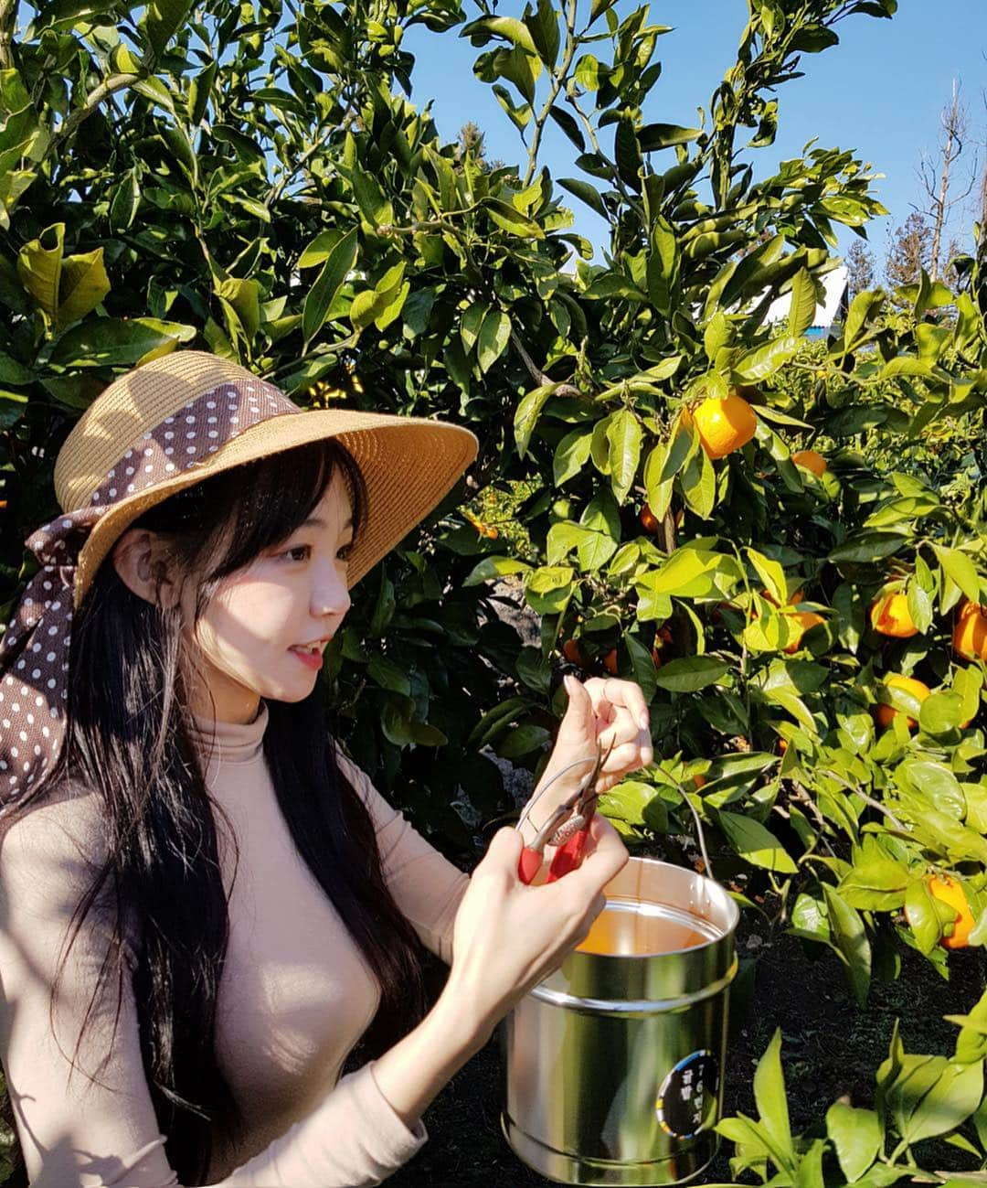 ウンソルさんのインスタグラム写真 - (ウンソルInstagram)「감귤아가씨 은토리🍊 드뎌 유튜브 채널 만들어땅💕 프로필 링크💜 https://bit.ly/2X5FP5P  #youtube」4月11日 16時53分 - taylanofficialx