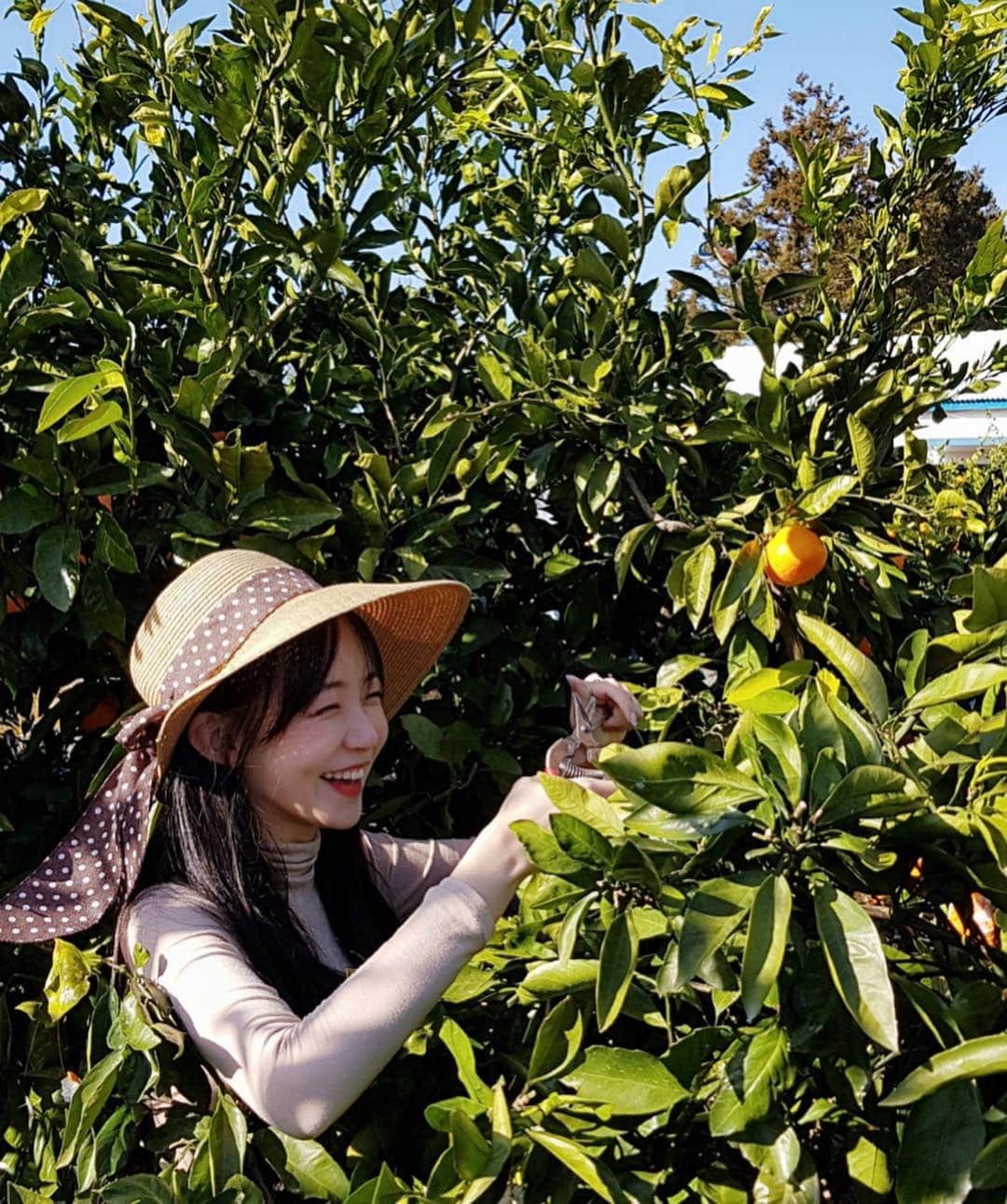 ウンソルさんのインスタグラム写真 - (ウンソルInstagram)「감귤아가씨 은토리🍊 드뎌 유튜브 채널 만들어땅💕 프로필 링크💜 https://bit.ly/2X5FP5P  #youtube」4月11日 16時53分 - taylanofficialx