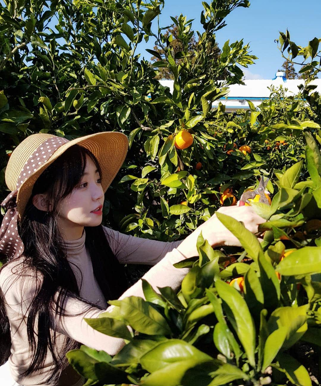 ウンソルさんのインスタグラム写真 - (ウンソルInstagram)「감귤아가씨 은토리🍊 드뎌 유튜브 채널 만들어땅💕 프로필 링크💜 https://bit.ly/2X5FP5P  #youtube」4月11日 16時53分 - taylanofficialx