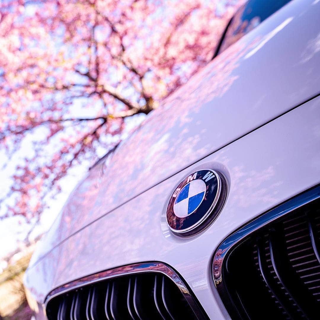 BMW Japanさんのインスタグラム写真 - (BMW JapanInstagram)「. 皆さんに投稿していただいた、「#BMWSAKURA」の写真をご紹介します。 ​. 今年もたくさんの投稿、ありがとうございます！​ . 春はまだ始まったばかり。 BMWと一緒に、素敵なドライブをお愉しみください。 . #桜 #花見 #BMW #BMWJapan #駆けぬける歓び #BMWWorld #BMWPost #BMWgram #BMWlovers #BMWlife #BMWlove #BMWforlife #BMWcar」4月11日 17時04分 - bmwjapan