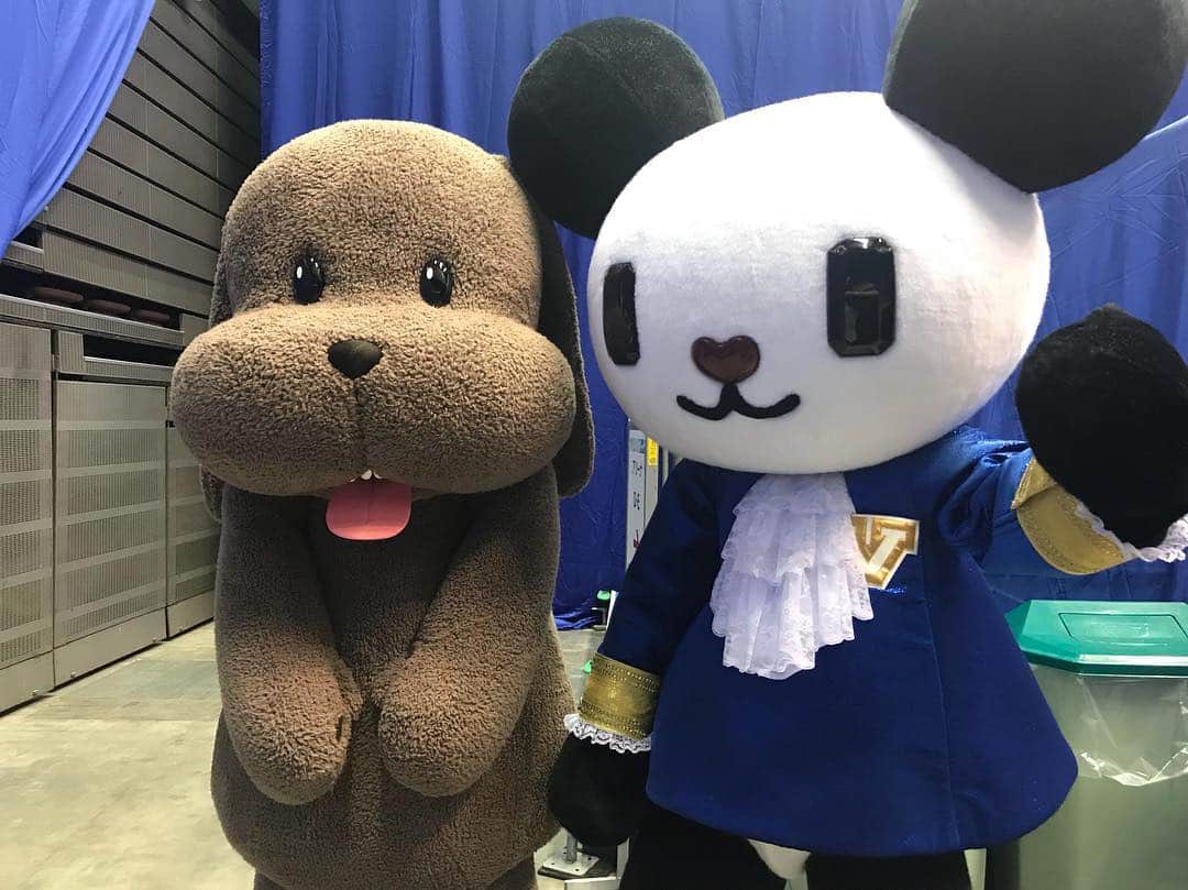 ユーリ!!! on ICEのインスタグラム：「🔥ユーリ!!! on ICE が #国別対抗戦2019 を全力応援🔥 舞台裏の #ゴーちゃん。& #マッカチン を激写📸✨ 男女ショートは今夜6時30分から※一部地域を除く #tvasahi にて放送‼️⛸」