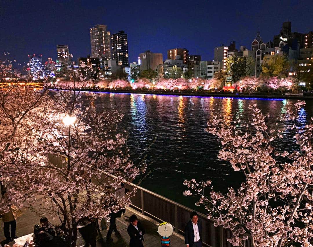 Osaka Bob（大阪観光局公式キャラクター）さんのインスタグラム写真 - (Osaka Bob（大阪観光局公式キャラクター）Instagram)「Evenings along the river are totally different. The cherry blossoms are  glowing pink & it's gorgeous 😍 . お昼とは違った魅力の夜桜🌸 天満橋は川沿いにライトアップされた桜が並び幻想的な雰囲気！ . #osakasakura #tenmabashi #okawa #夜桜 #天満橋 #withOsakaBob #OSAKA #maido」4月11日 17時12分 - maido_osaka_bob