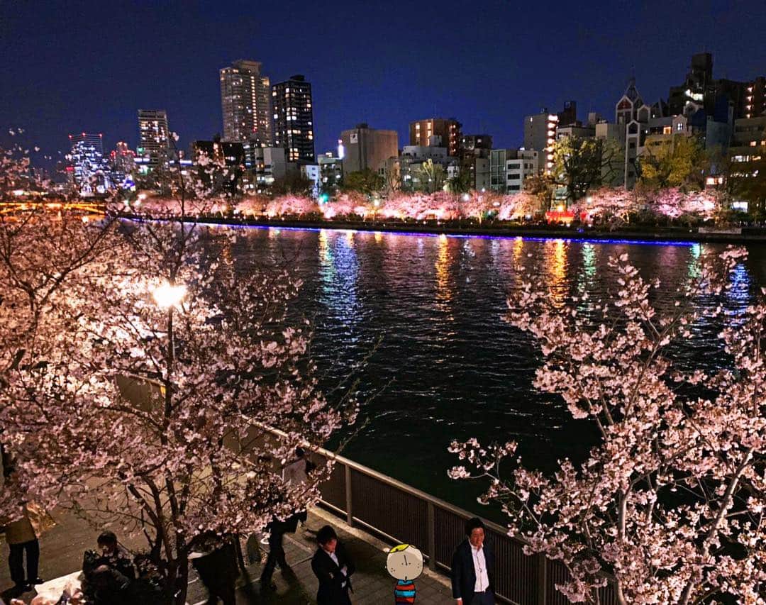 Osaka Bob（大阪観光局公式キャラクター）のインスタグラム