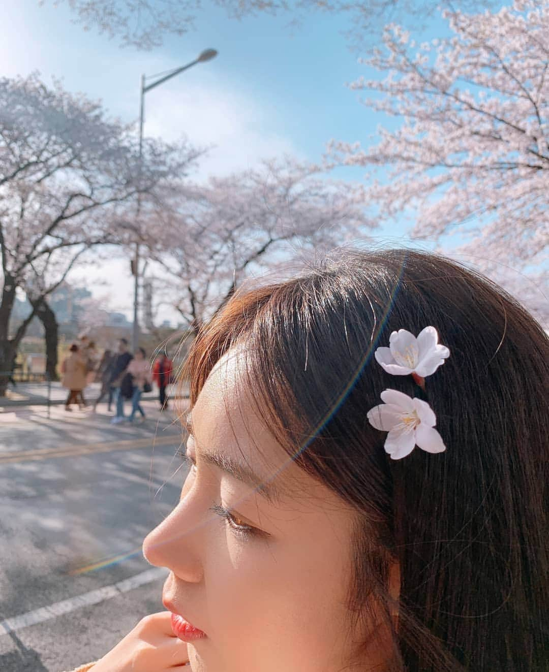 ヘミさんのインスタグラム写真 - (ヘミInstagram)「꽃핀🌸 .  #벚꽃 #공기 좋아요」4月11日 17時17分 - yesyesyelll