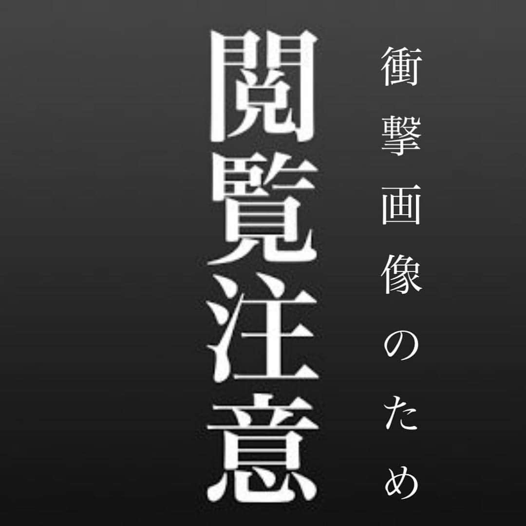 高木豊さんのインスタグラム写真 - (高木豊Instagram)「保湿してみた^_^ お肌大事！ でもサイズが合わず…！ なんでこれがレギュラーサイズやねん💦 小さくないか〜^_^  #いんすたばえ  #涼しい #保湿 #アートマスク #フェイスパック #高木豊 #puresmile」4月11日 17時20分 - takagi.1022